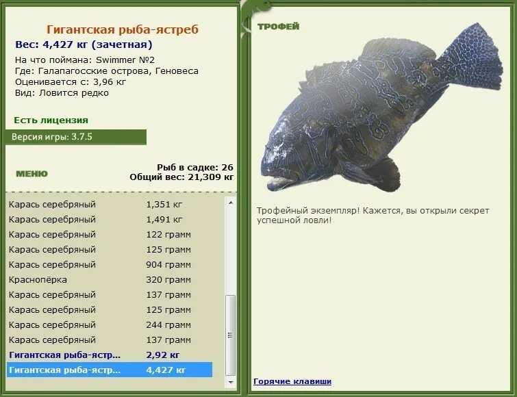 корзинка для рыбы нахлыстом. мое хобби рыбалка. рыболов 5 букв. рыбоядные птицы. амурский судак рыба.