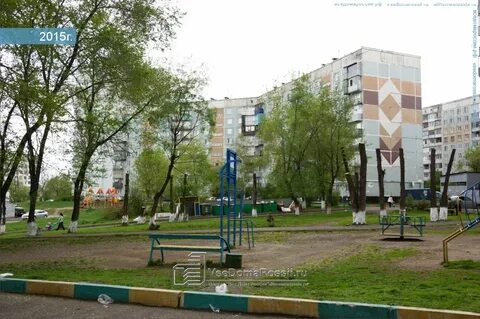 Новоселов 11