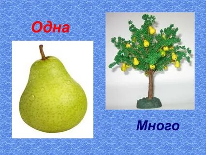 Предложение с не один много