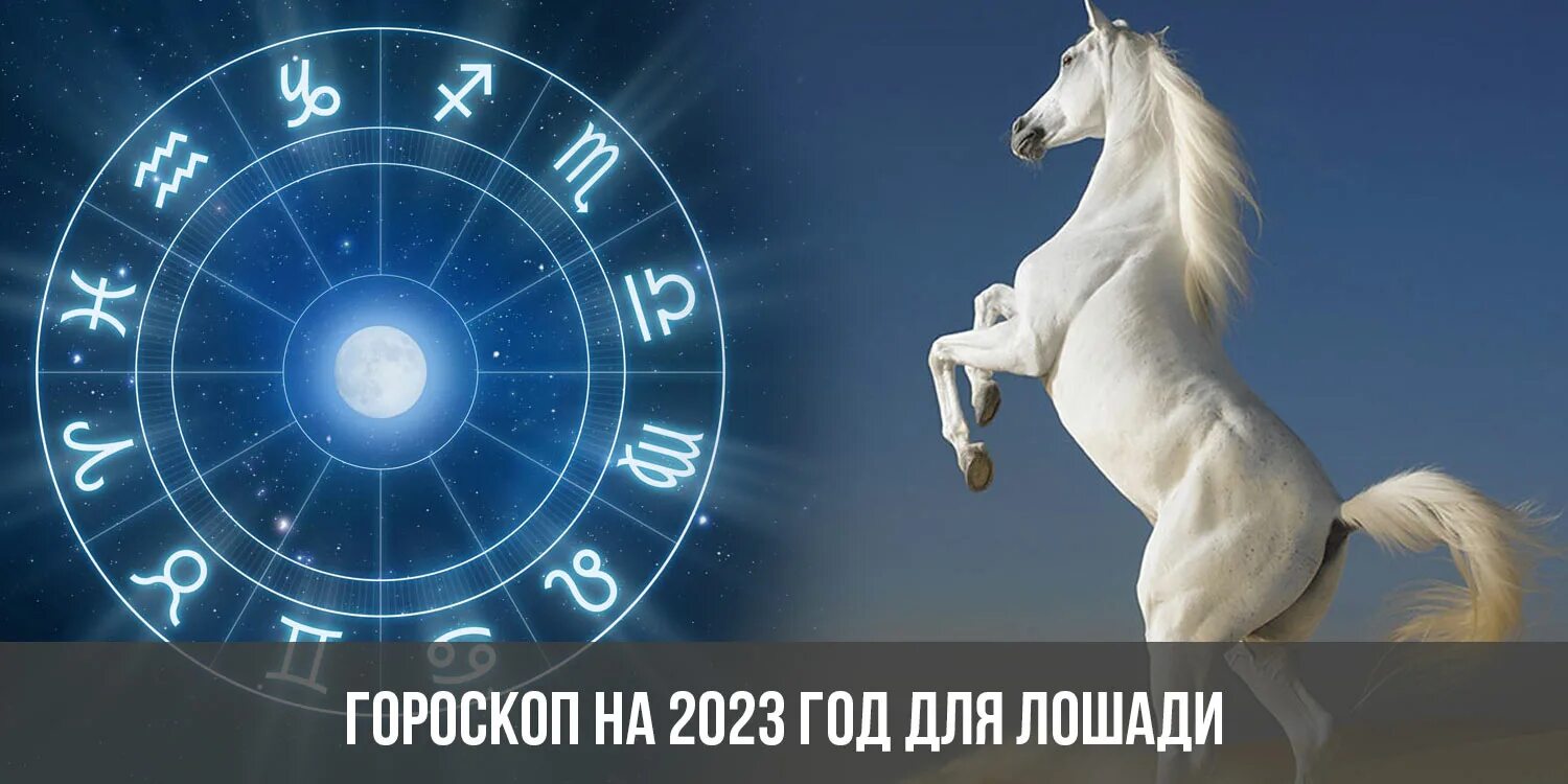 2023 год будет решающим