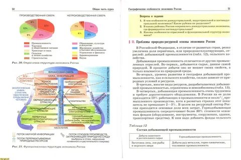 Отраслевая и функциональная структура хозяйства