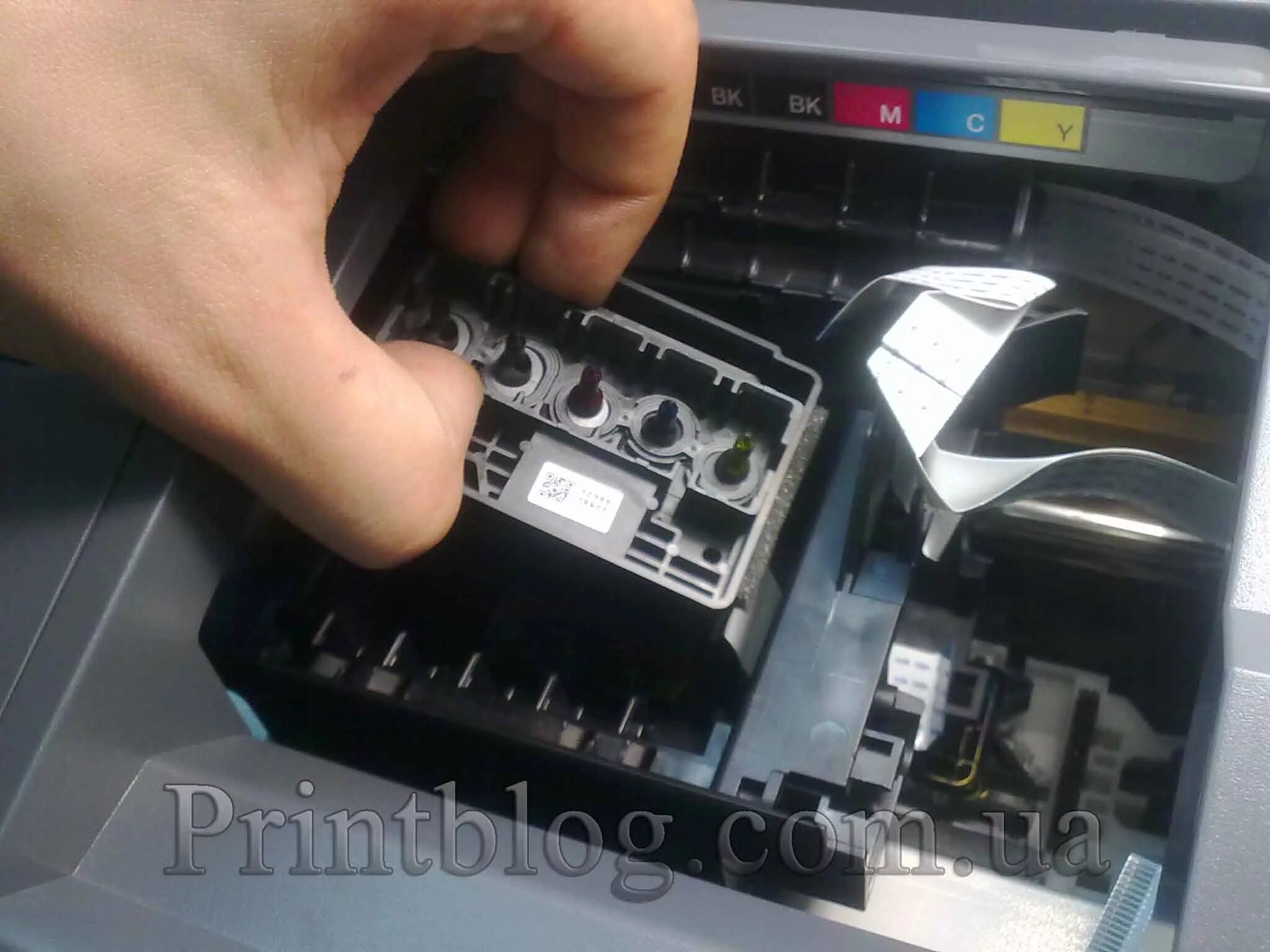 Пг epson. Печатающая головка Epson l210. Epson l355 печатающая головка. Головки Эпсон cx3900. Печатающая головка Epson l800.