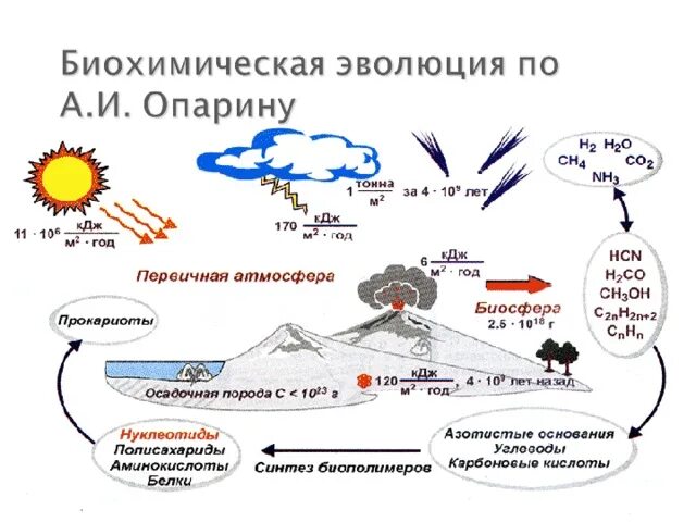 Возникновение жизни на земле теория биохимической эволюции. Биохимическая Эволюция теория происхождения жизни. Согласно теории биохимической эволюции. Биохимическая гипотеза рисунки.