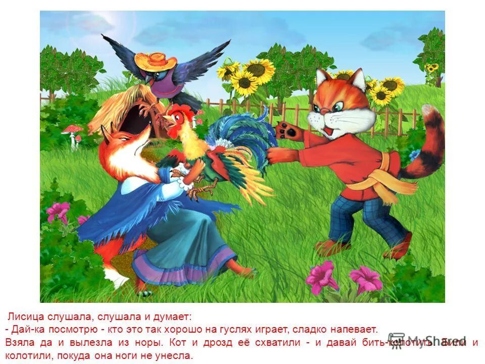 Сказка петух и дрозд. Сказка про петушка золотого гребешка кота и дрозда. сказка кот дрозд и петух. кот, дрозд, петух и лиса. дрозд из сказки петушок золотой гребешок.