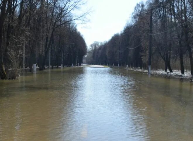 Паводок в рязанской области сейчас