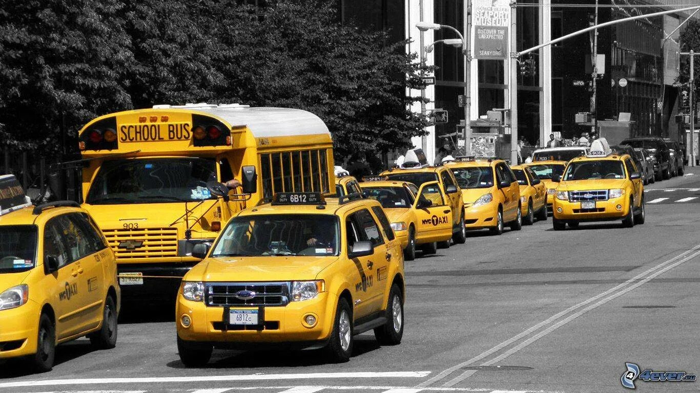 Аэропорт транспорт такси. Такси в Нью Йорке салон. Такси Нью-Йорка. Такси в Германии. Такси в Голландии.