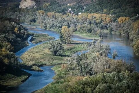 Устье моравы