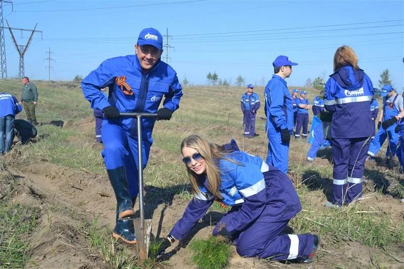 Учебный центр газпрома в воронеже. Ао газпром газораспределение ленинградская область г. Сотрудники газпром газораспределение. Газпром газораспределение ленинградская область тосно. Футболка газпром газораспределение.
