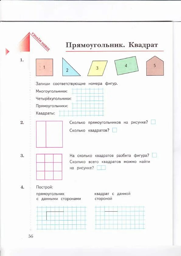 Найди площадь листа любой тетради