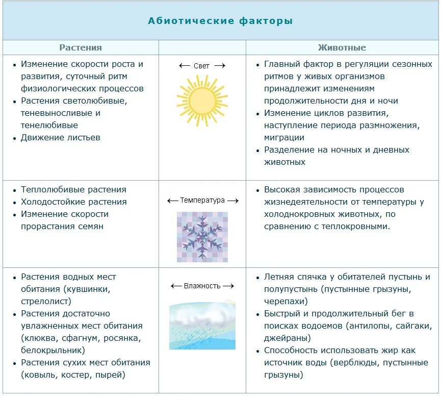Биология абиотические факторы таблица. Влияние абиотических факторов на растения. Влияние абиотических факторов на живые организмы. Примеры воздействия абиотических факторов на растения. Влияние абиотических факторов на организмы.