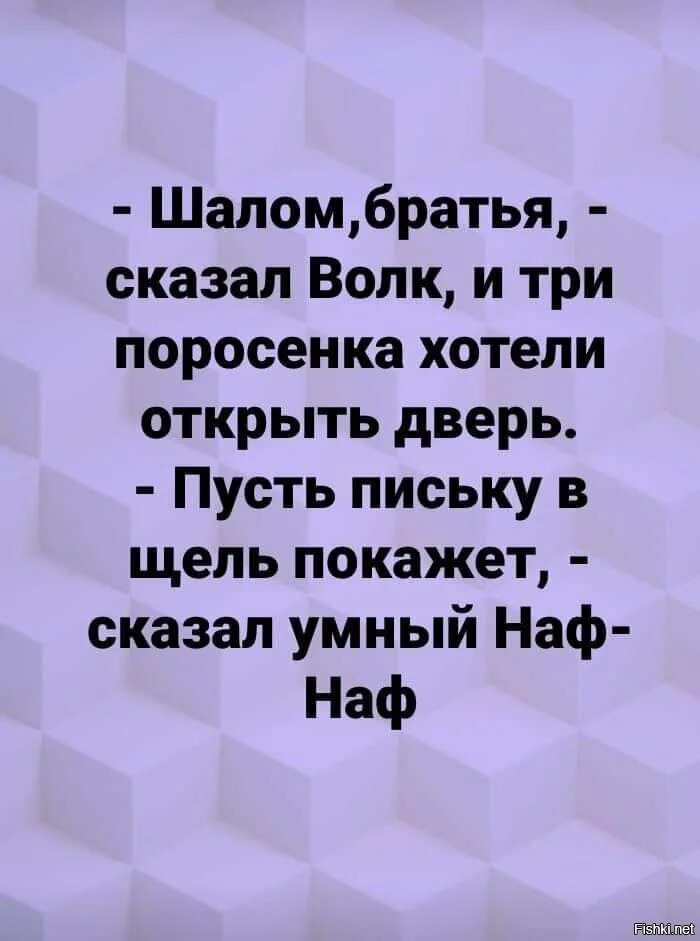 Шалом братья сказал волк. Шалом брат. Шалом братья сказал волк и три поросенка. Анекдот Салам алейкум сказал волк.