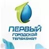 Первая городская. Первый городской телеканал. Первая городская. Первый общественный канал. Первый общественный канал.