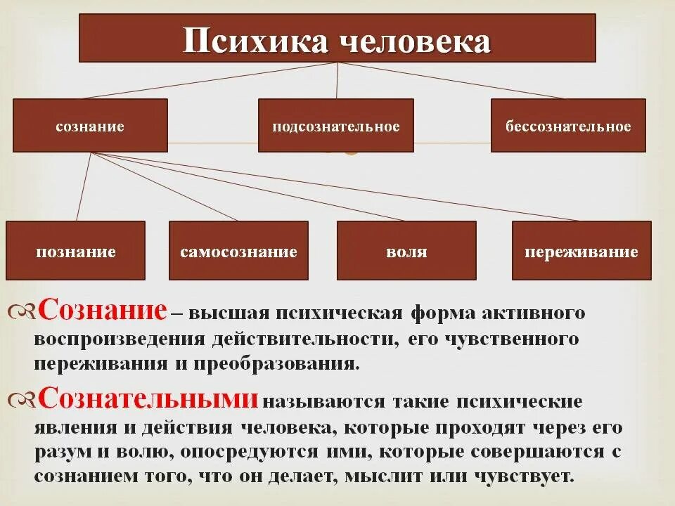 Методы организации деятельности личности. Психика человека. Психика человека это в психологии. Психика и сознание в психологии. Сознание психологические процессы.