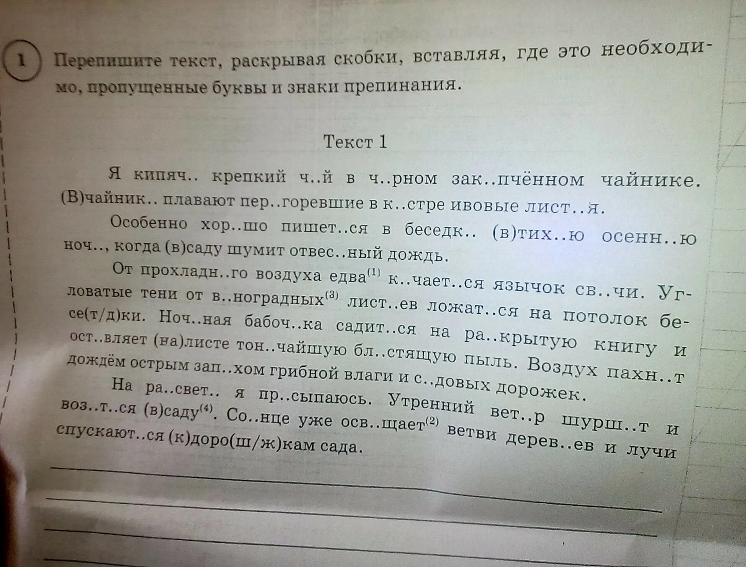 Русский язык 4 класс вставить пропущенные буквы и знаки препинания.