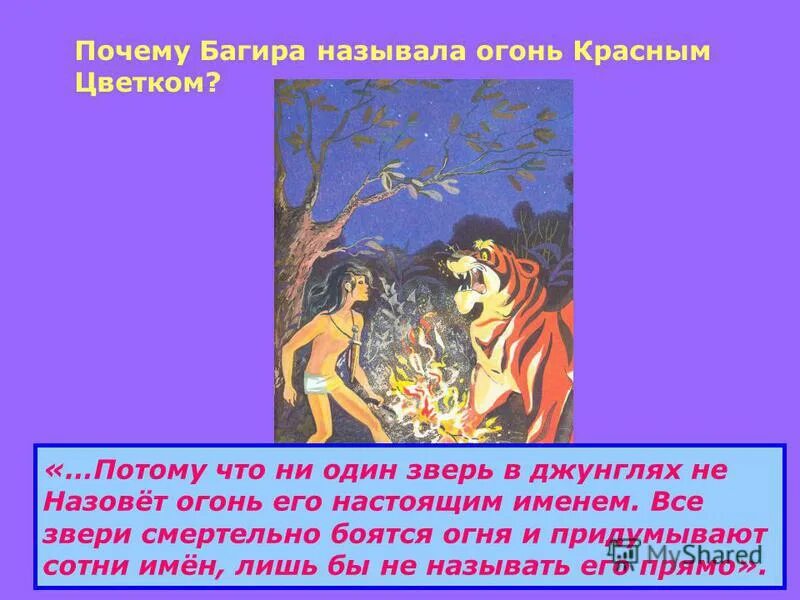 Как назвать огонь. Красное пламя. Цвет огня. Что называется пожаром. Огонь роль огня в жизни человека.