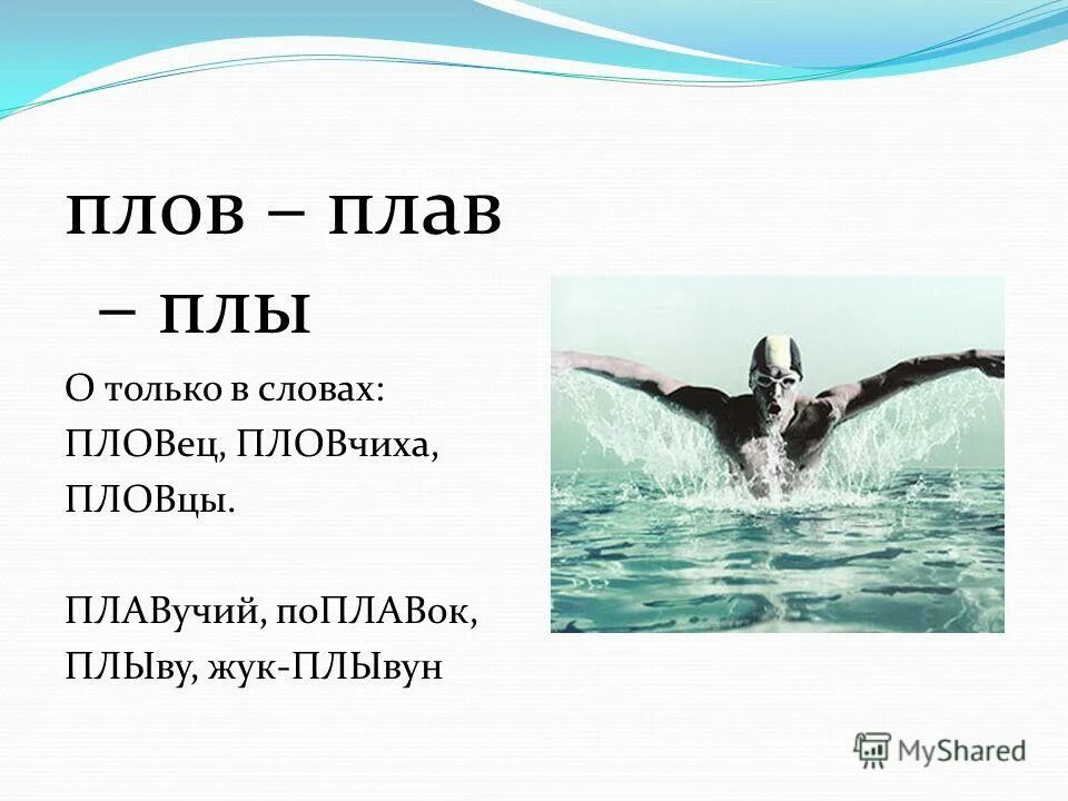 Выдох в воду. Пловец или плавец как правильно и почему. Корни плав плов правило. Плавание это кратко. Пловец или плавец как правильно и почему.