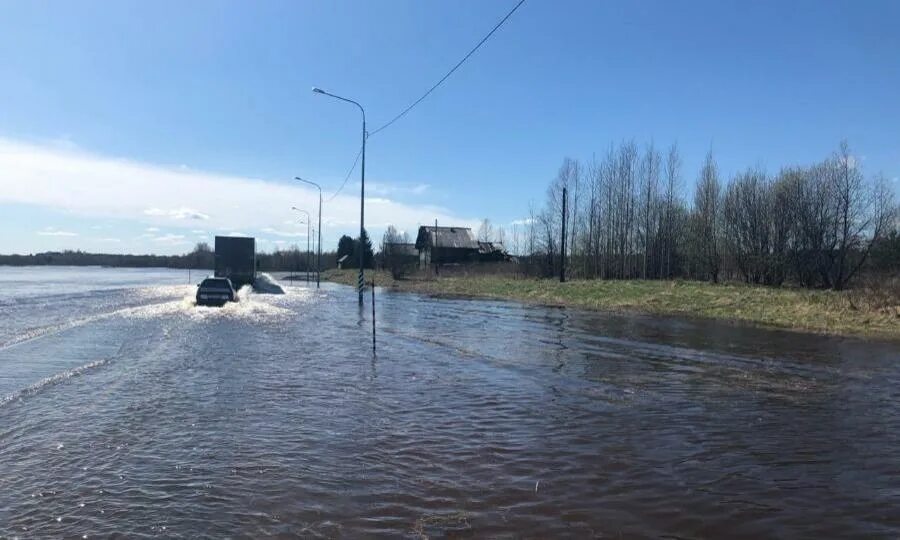 Уровень воды в ваге на сегодня. Река Вага Архангельской области. Река Вага Шенкурск. Река Вага Вельск. Холмогоры наводнение.