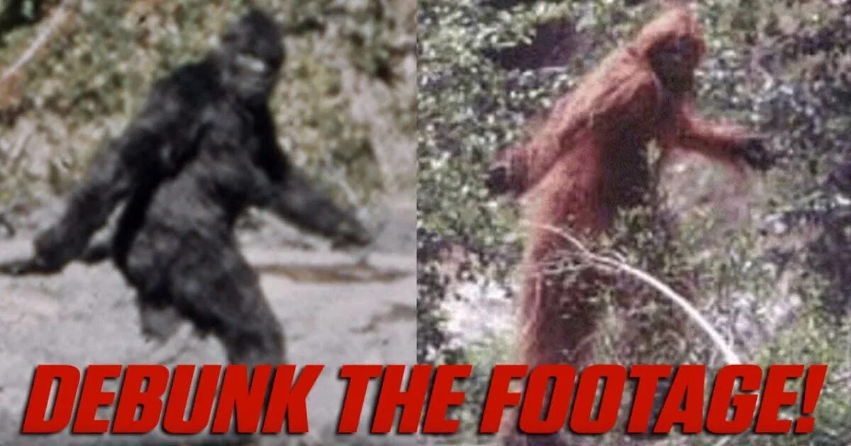 Discovering Bigfoot - The Legend of Sasquatch - YouTube
