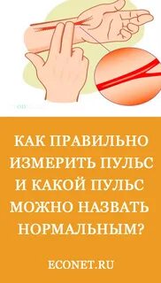 Сколько считают пульс