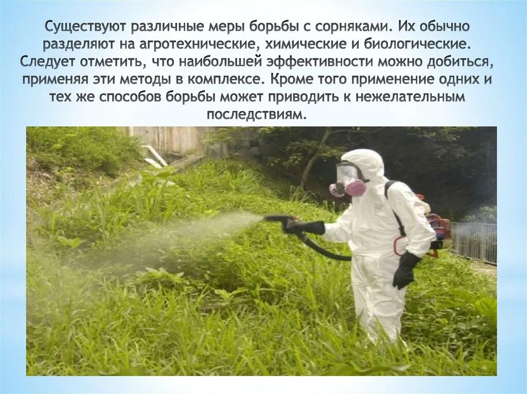 Химический метод борьбы с сорняками. Предупредительные меры борьбы с сорными растениями. Пестициды для борьбы с сорняками. Средства борьбы с сорняками на огороде. Химические меры борьбы с сорняками.