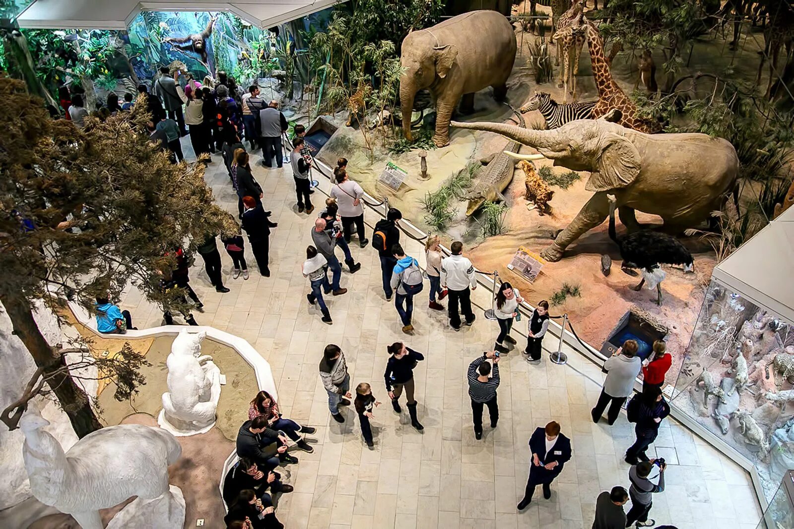 Музей дарвина в москве официальный сайт фото Экскурсия для школьников в Государственный Дарвиновский Музей