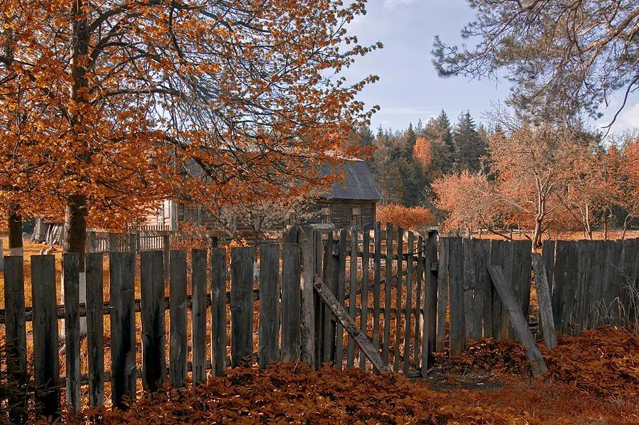 Чтобы увидеть море нужно выйти за калитку. Старый деревенский забор. Осень в деревне. Старый деревянный забор. Забор в деревне.