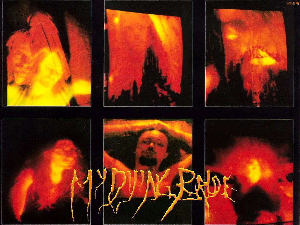 Группа my Dying Bride. Басистка my Dying Bride. My Dying Bride Art. My dying bride 2024