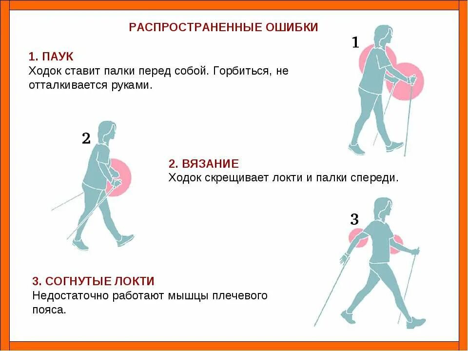 Силовая ходьба что это. Методика скандинавской ходьбы с палками для начинающих. Правила ходьбы со скандинавскими палками для начинающих. Скандинавская ходьба с палками техника ходьбы для начинающих. Техника скандинавской ходьбы для начинающих с палками.