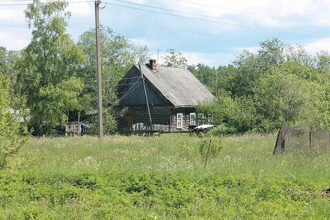 Копорское сельское поселение ленинградская область