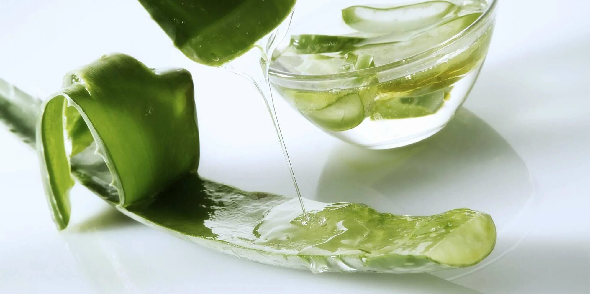 Fresh aloe vera. Алоэ при геморрое. Сок алоэ при геморрое. Natural Fresh Aloe Vera. Мед и алоэ при геморрое.