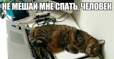 Работа мешает спать