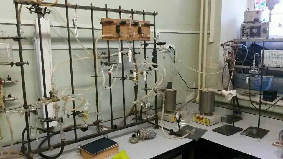 институт экологии со ран. институт экологии человека. институт экологии со ран. экологический институт ран. институт философии ран, фгбу ран.