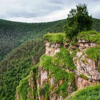 Скала аватара