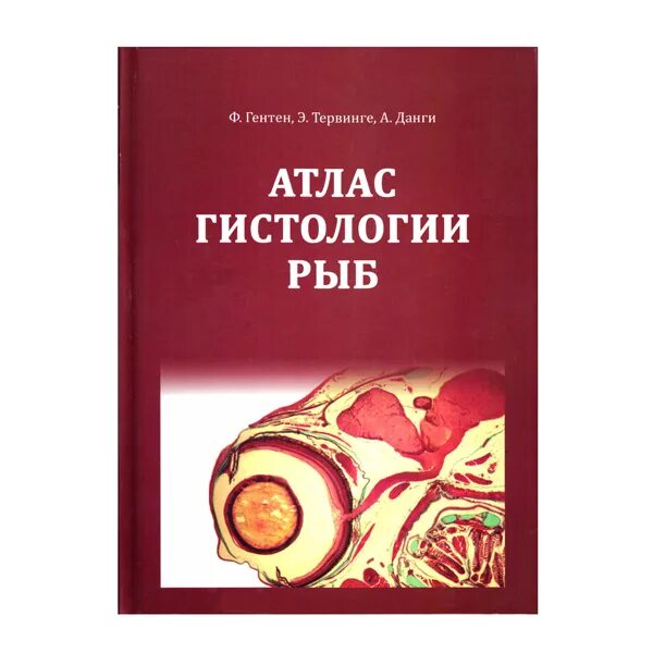 Атлас акции. Атлас гистология. атлас по гистологии. атлас по гистологии кузнецов. атлас по гистологии зарубежный.