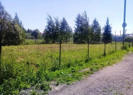 Погода московская обл солнечногорский