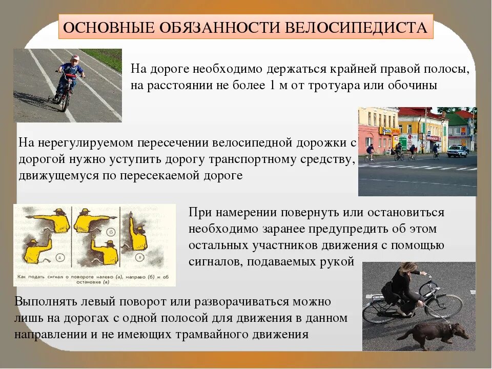 Основные обязанности велосипедиста. Обязанности велосипедиста на дороге. Основные требования к движению велосипедистов. Не способна к движению