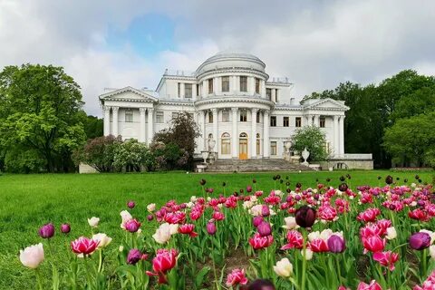Елагин 10 августа