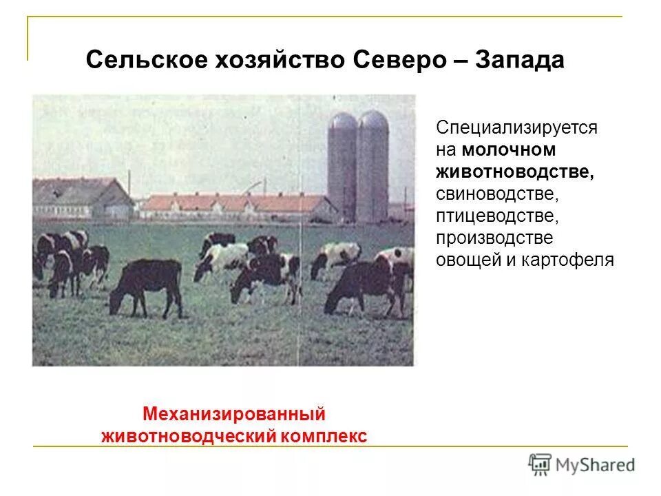 сельское хозяйство северо западного экономического района россии. отрасли промышленности и сельского хозяйства северо западной россии. хозяйствая северомзападного рпй. параметры территории страны. население и хозяйство северо запада.