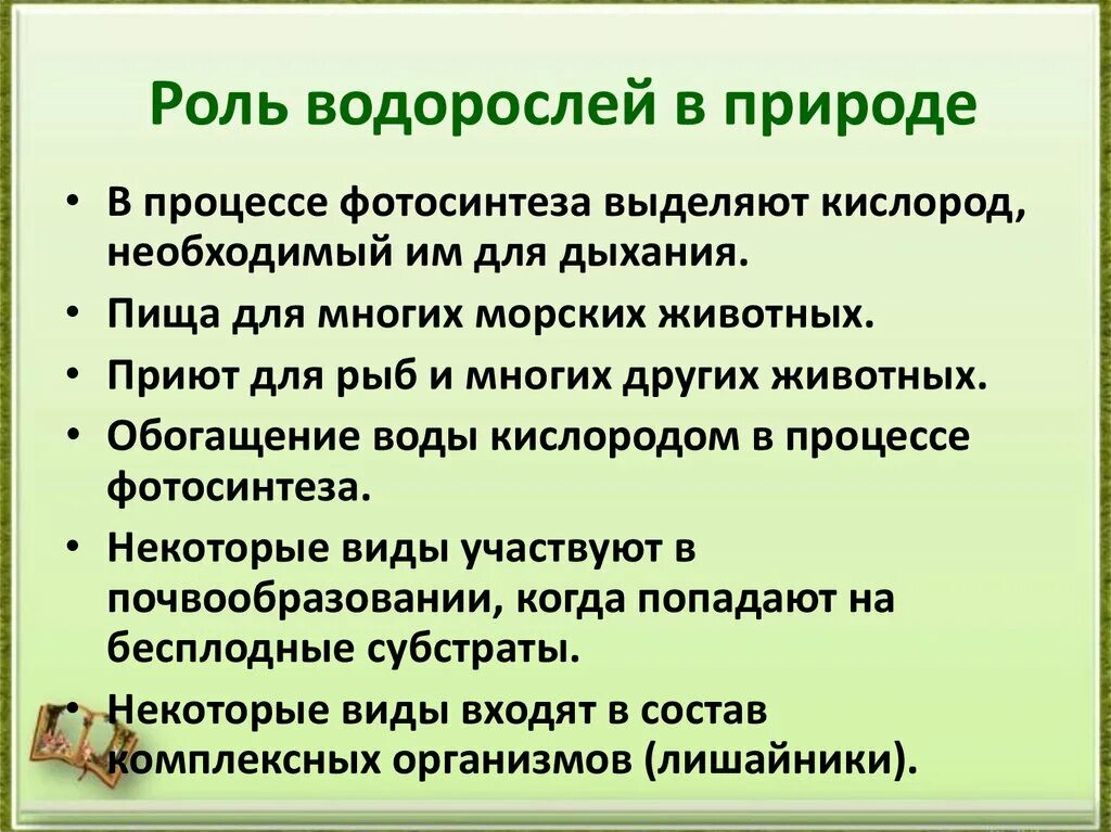 Дыхание водорослей. Роль водорослей в природе и жизни человека 5 класс биология. роль водорослей в природе 5 класс биология. роль водорослей в природе 5 класс. значение водорсой ла в природе.