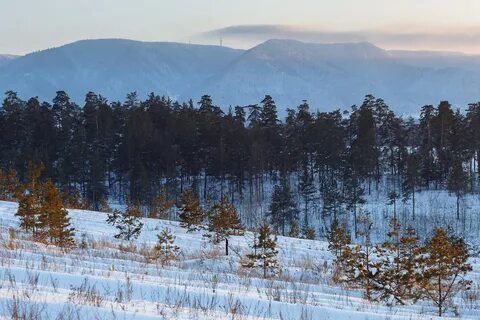 Мирный красноярский