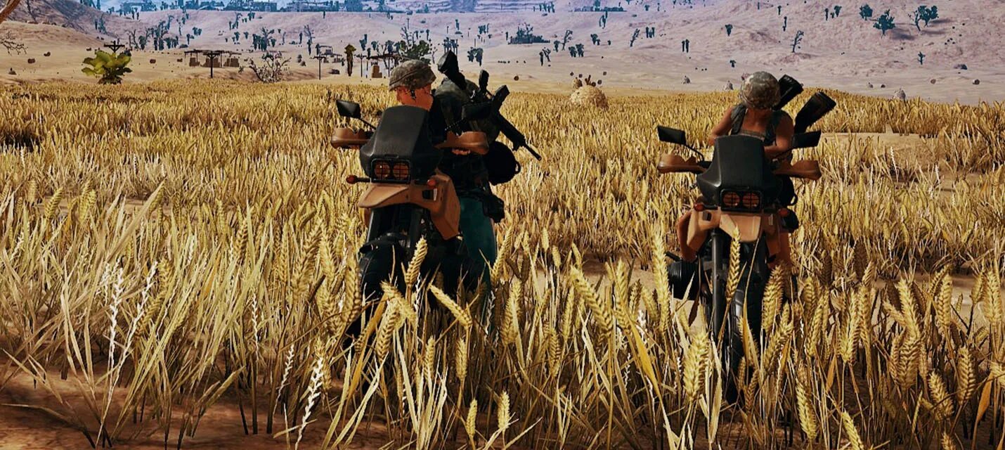 Battlegrounds flash. Пейзажи ПАБГА. PUBG пейзаж. Галерея PUBG. Местность ПАБГ ПК.