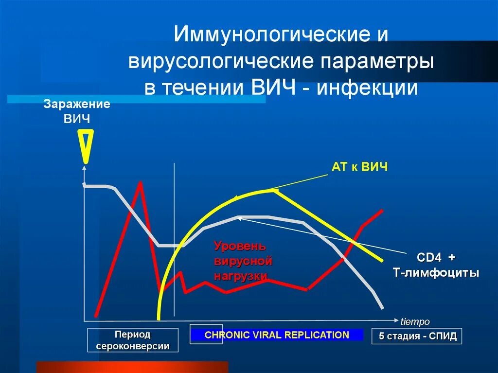 Течение вич инфекции. CD 4, вирусная нагрузка. Динамика вирусной нагрузки при ВИЧ-инфекции. ВИЧ уровни вирусной нагрузки. Вирусная нагрузка и клетки при ВИЧ.