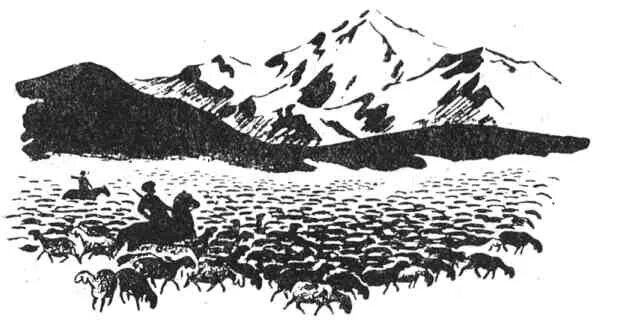 Берг путешествие. Путешествие по вселенным. С. Книга тренинг. Берг путешествие.
