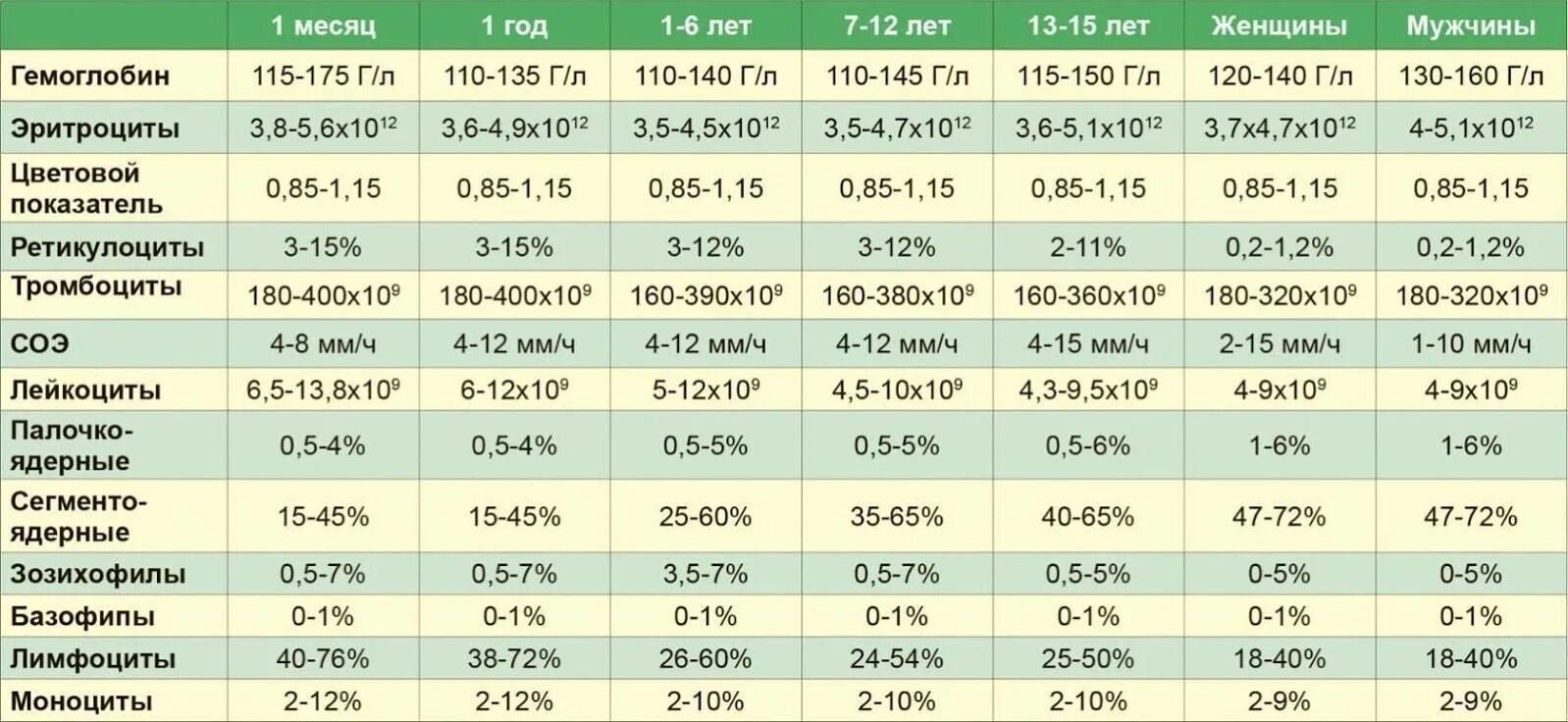 Лейкоциты у ребенка 7 лет