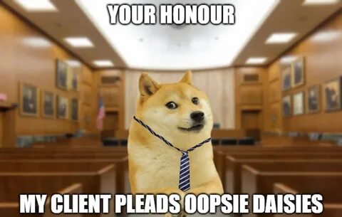 doge, dogelore, oopsie daisie.
