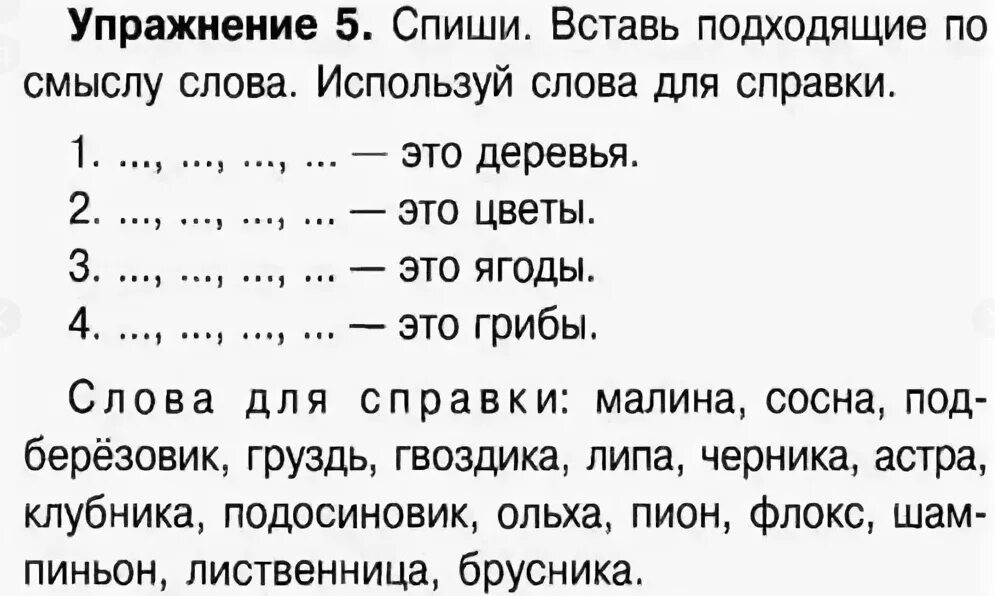 Задания по теме существительное. Имя существительное задания. Упражнения по русскому языку. Имена существительные 2 класс задания. Имя существительный задания.