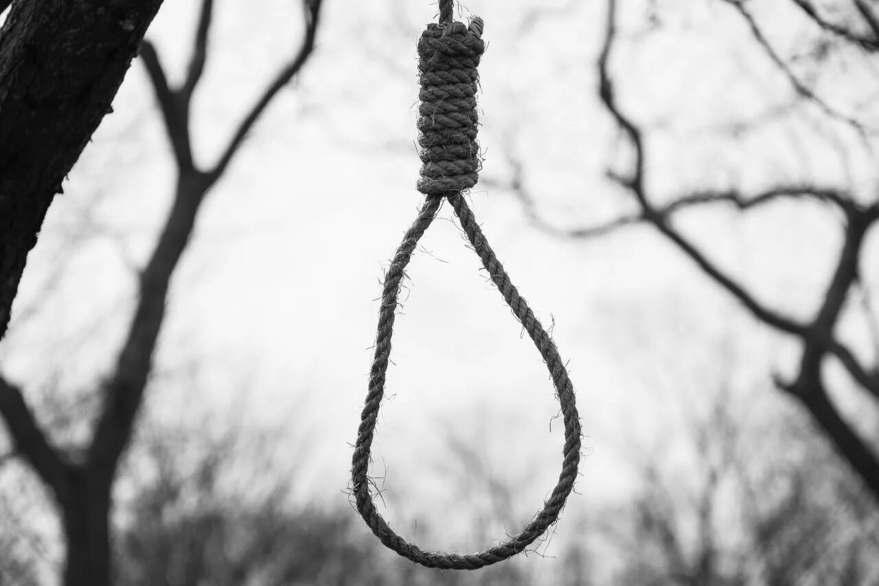 Висела в петле. Петля для повешения. Висела в петле. Петля для повешения. Висела в петле.
