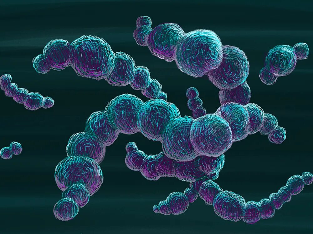 Бактерии staphylococcus aureus