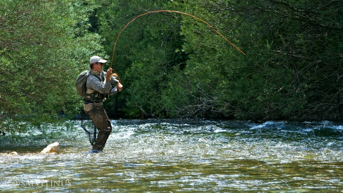 Ловля в прыжке. Летняя рыбалка. Вываживание крупной рыбы. Рыбак на реке. Рыбак на рыбалке.