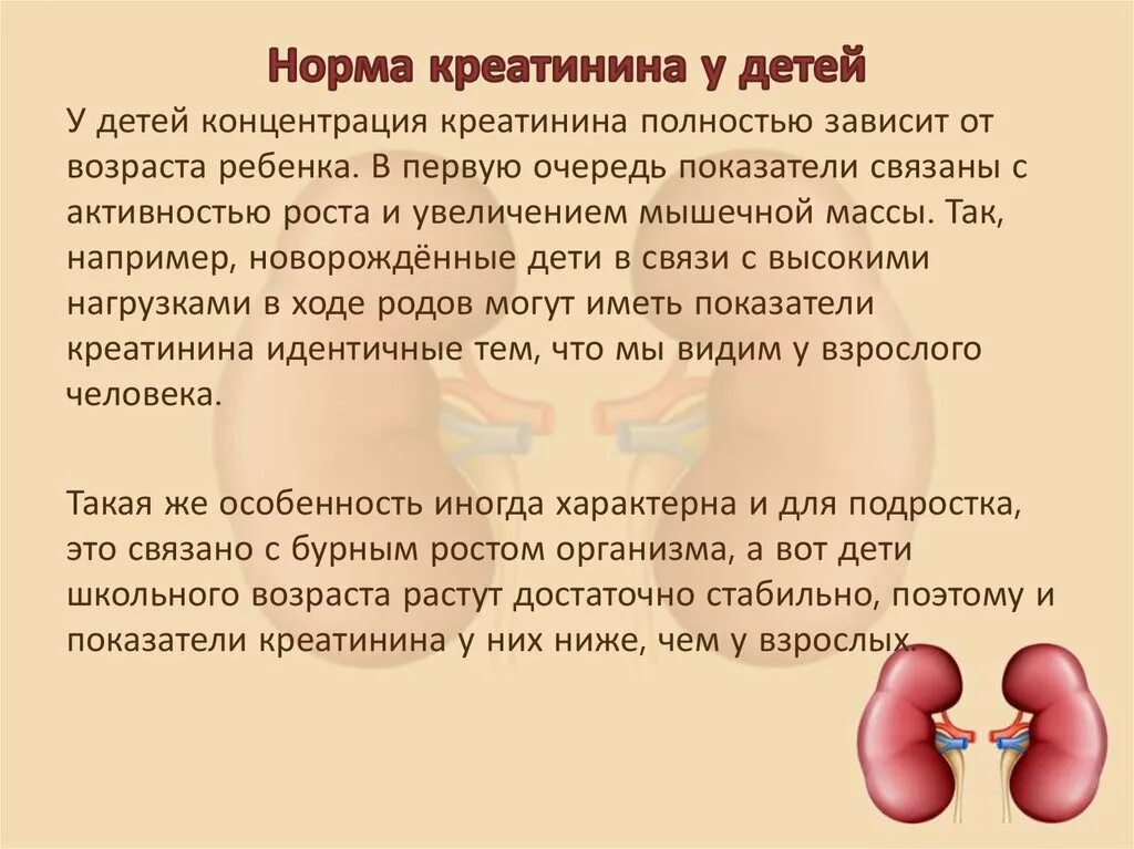 Креатинин повышен у ребенка что это. Креатинин функция почек. Креатинин повышен у ребенка что это. Креатинин повышен у ребенка что это. Креатинин повышен у ребенка что это.